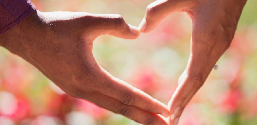 Healthier Heart Healthier Heart