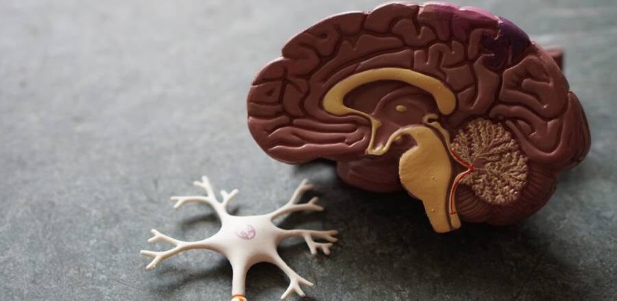 How to Relax Vagus Nerve Techniques and Tips for Optimal Health