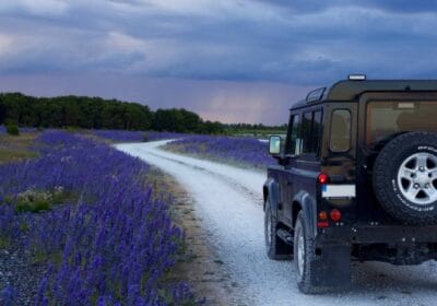 How to Delete O2 Sensors from ECM